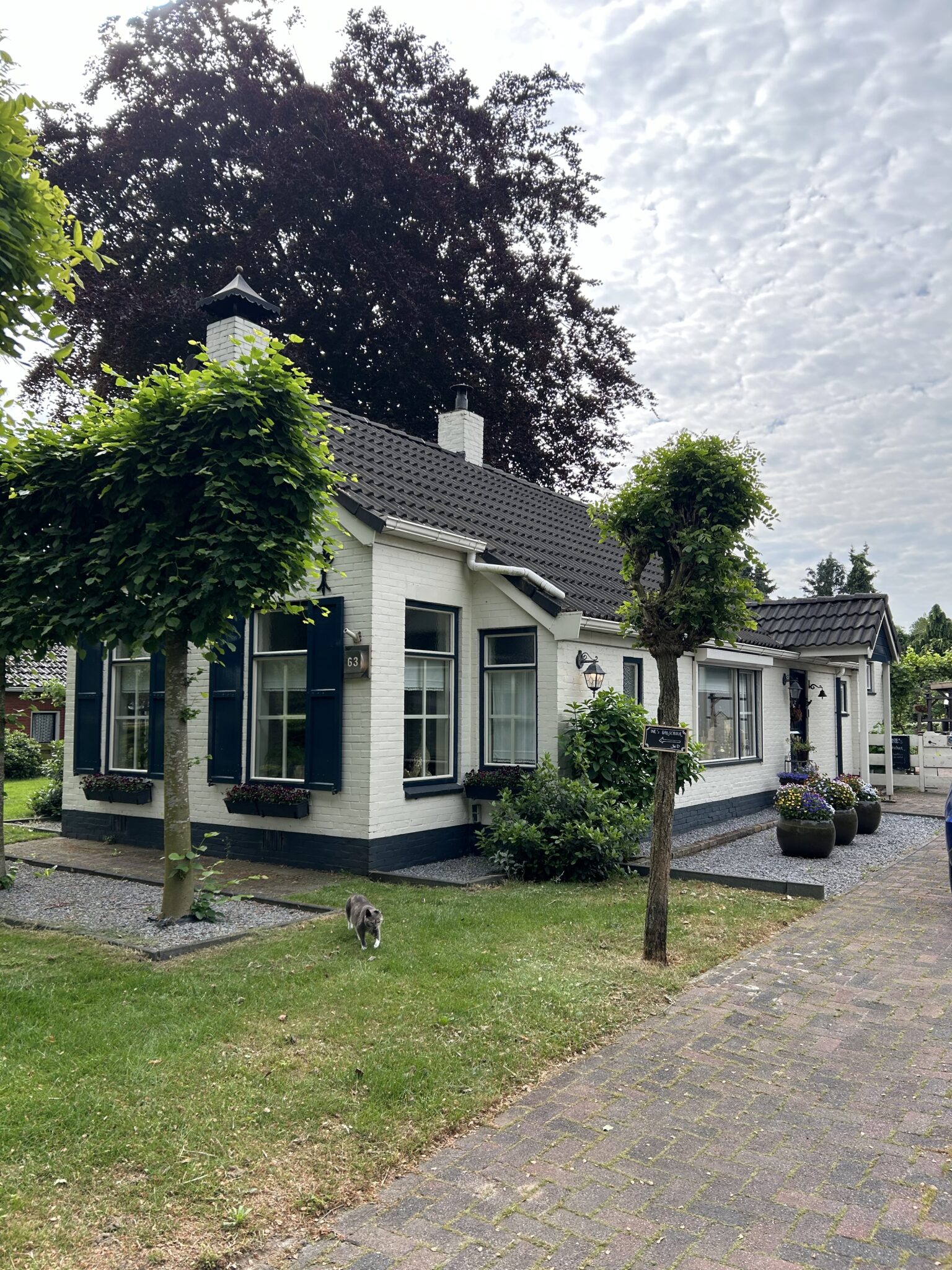 Westerwolde Rijgt 20 – 28 juni 2026